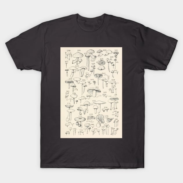 Naturalist Mushrooms T-Shirt by bluespecsstudio